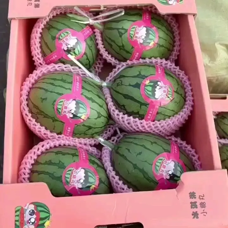 精选全美2K西瓜保熟保甜山东西瓜小糖丸吊瓜早春红玉西瓜