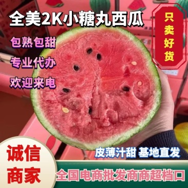 精选全美2K西瓜保熟保甜山东西瓜小糖丸吊瓜早春红玉西瓜