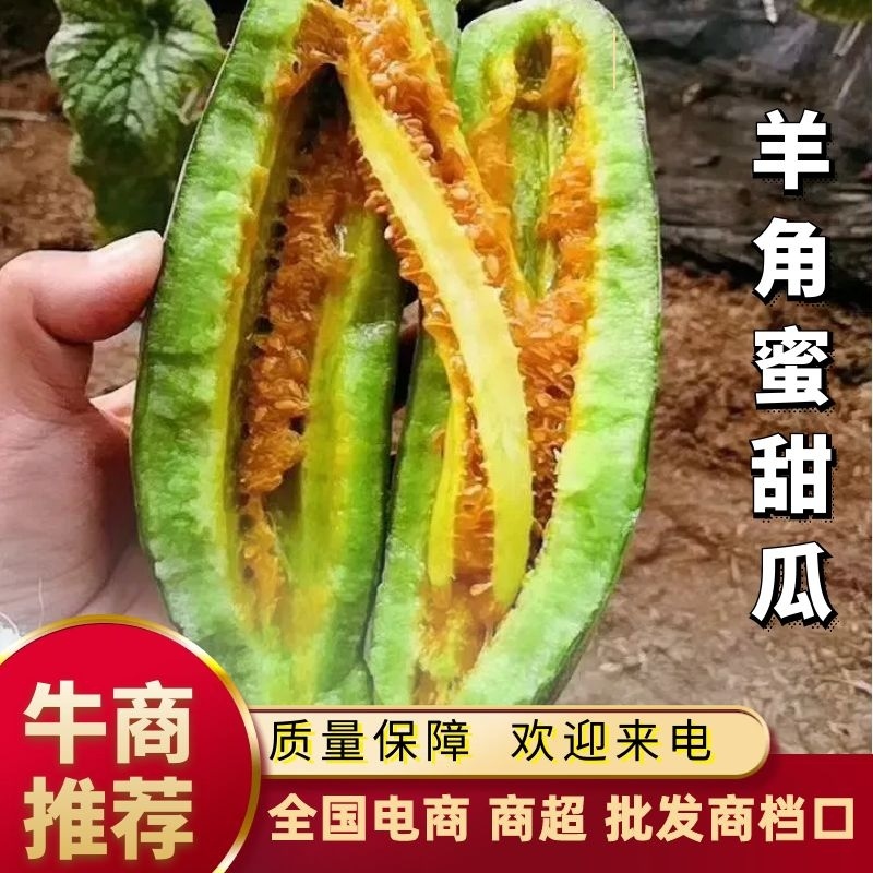山东羊角蜜口感脆甜瓜形好货量大承接电商商超提供纸箱泡沫箱