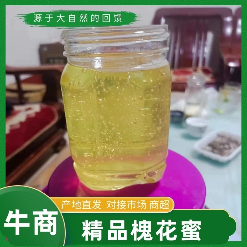 槐花蜜，质量保证，产地直发规格多样，欢迎电联采购