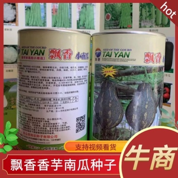 香芋南瓜种子，飘香小南瓜香芋味，厂家货源，产量高，电联