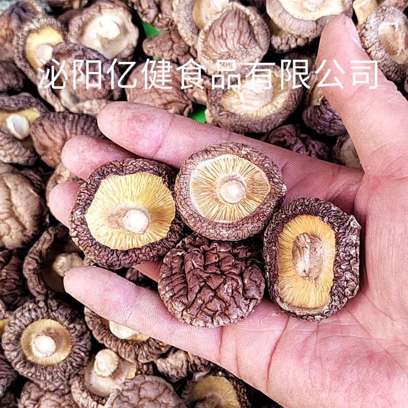 河南干香菇新货包邮产地直供肉厚精选冬菇干香菇食用菌干货