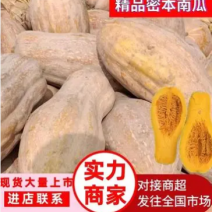 金韩蜜本南瓜大量供应市场电商超市加工厂养殖货