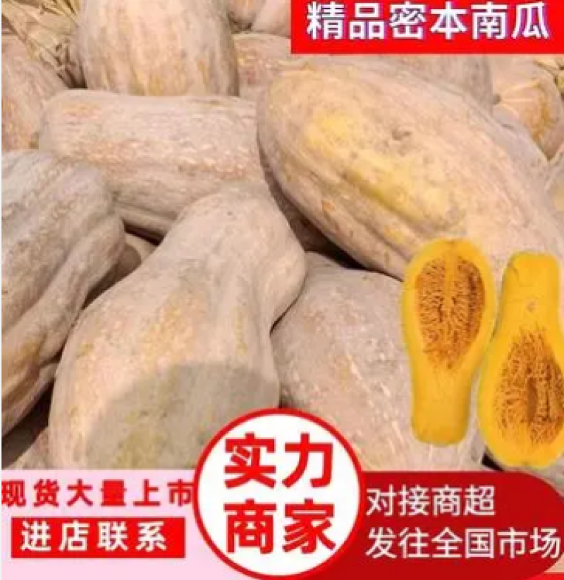 金韩蜜本南瓜大量供应市场电商超市加工厂养殖货