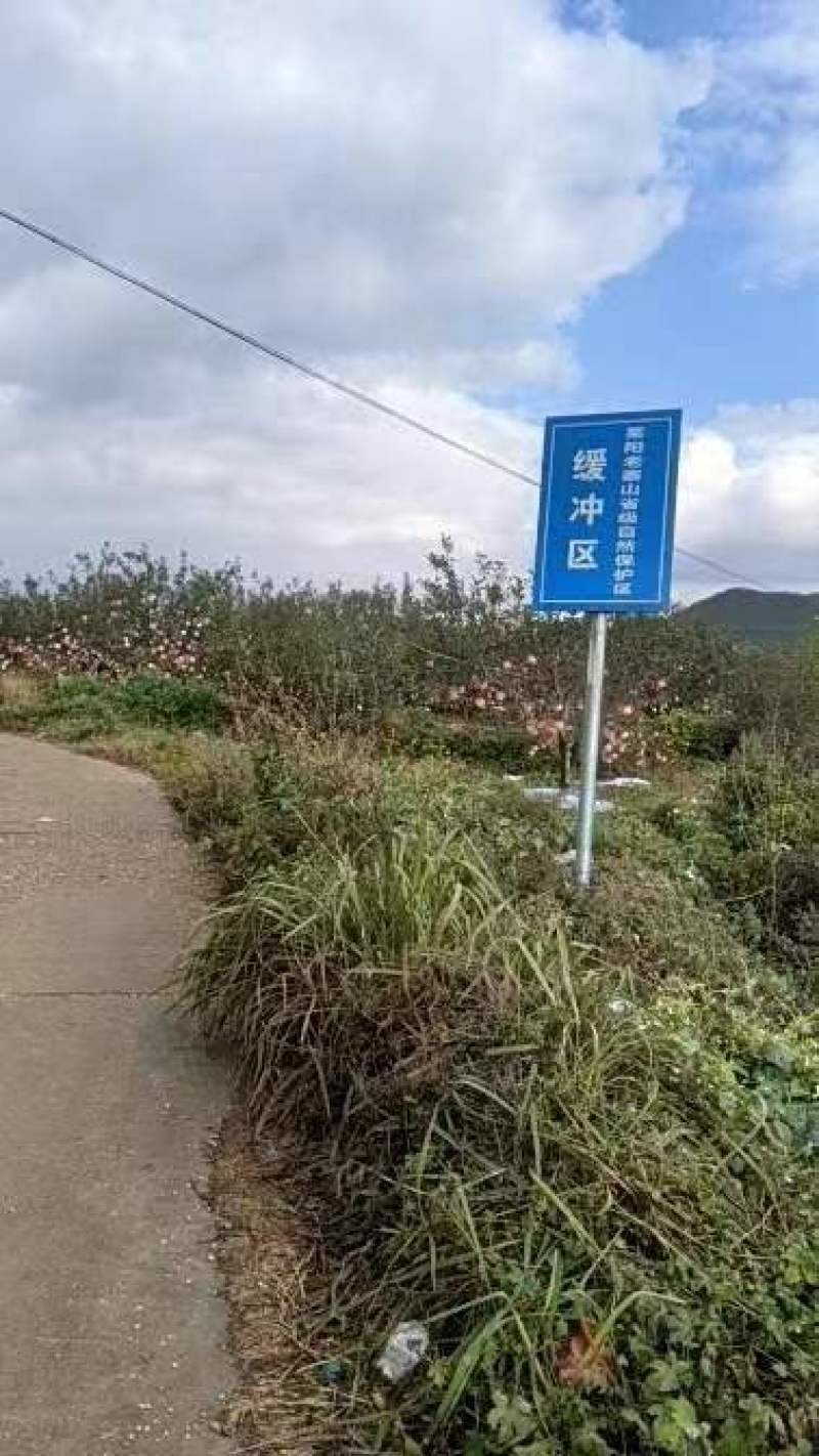 红富士苹果