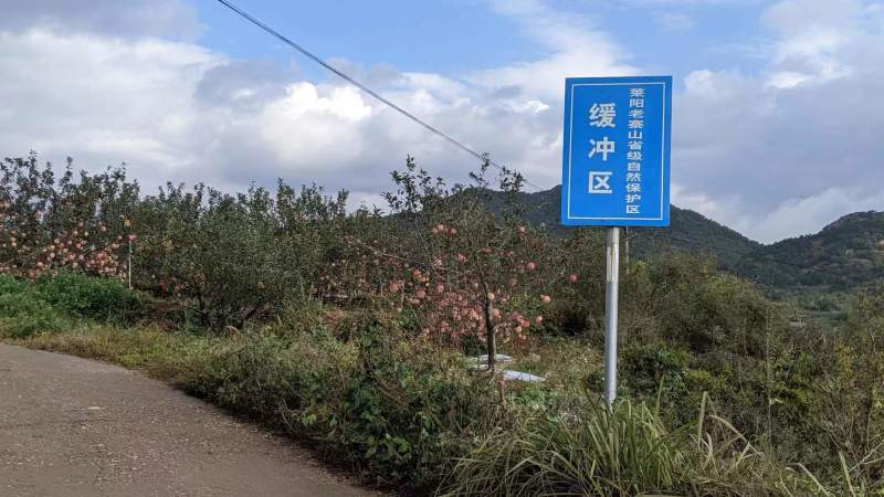 烟台红富士苹果