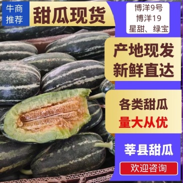 博洋九，九一甜瓜大量上市对接电商，超市商场平台。一手货源