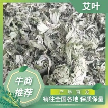 精品艾叶新品上市，质量保证，品种纯正，假一赔十