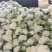 精品菜花松花菜有机花产地直发品质保证欢迎咨询