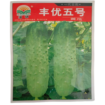 水果黄瓜种子丰优五号东北旱黄瓜种子中早熟高产嫩绿色