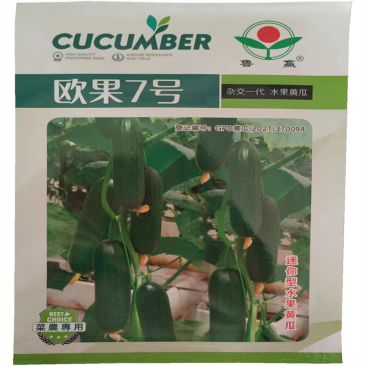 欧果7号荷兰水果黄瓜种子100粒早熟无刺旱黄瓜种子短棒