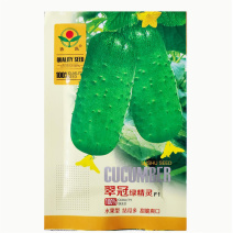 翠冠绿精灵强雌水果黄瓜种子东北旱黄瓜种子短棒状甜脆