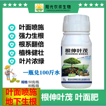 根深叶茂生根绿叶抗根腐强力生根叶面肥