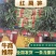 山东精品红叶窝笋，产地直供，诚信代办，代发全国