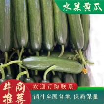 【推荐】清甜爽口的水果黄瓜，规格齐全，物美价廉，量大从优