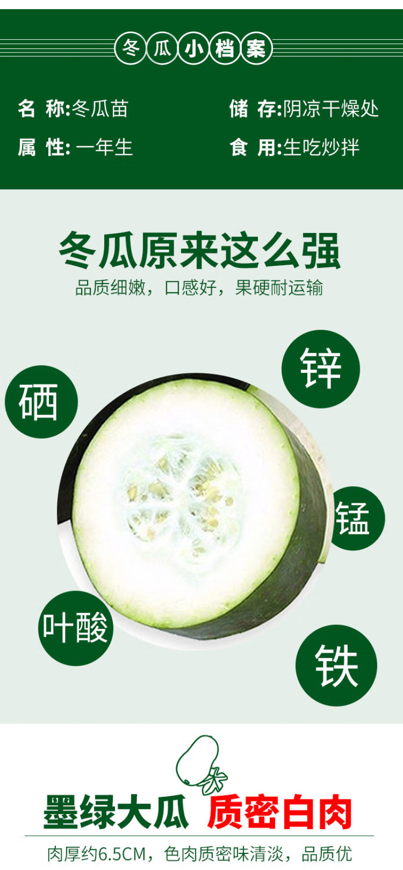 （现货）黑皮冬瓜苗吊冬瓜苗冬瓜嫁接苗冬瓜苗