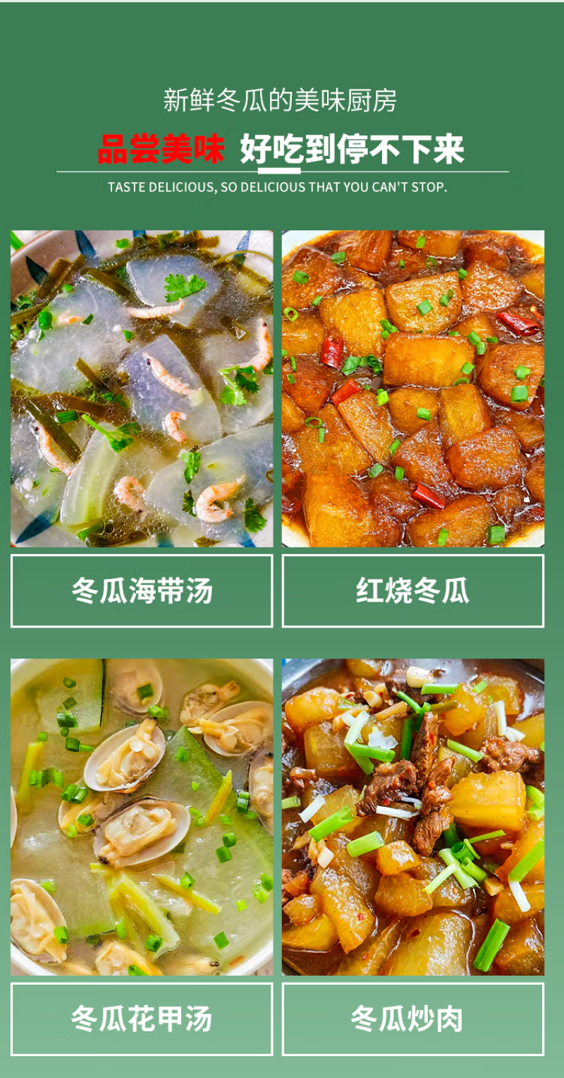 （现货）黑皮冬瓜苗吊冬瓜苗冬瓜嫁接苗冬瓜苗
