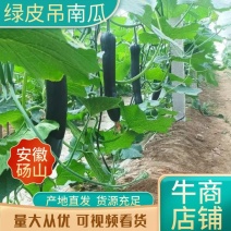 砀山青皮吊南瓜/长条黑皮南瓜菜南瓜长条形南瓜产地直发