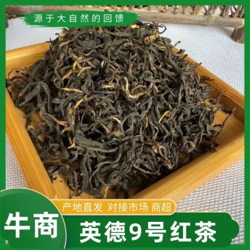 英红九号红茶批发价英德红茶散装袋装欢迎下单