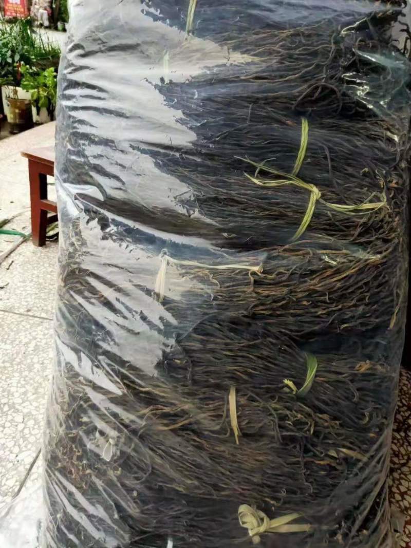 干豆角批发餐饮商超供应优先常年有货全国发货