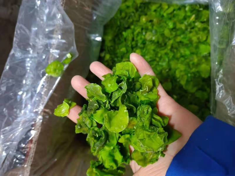 莴笋干纯手工制作天然晒干可大量供应快速直发