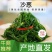 沙葱，精品沙葱，甘肃沙葱，品质保证，全年有货全国发货
