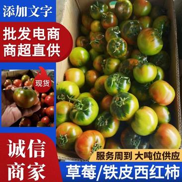 东北辽宁草莓番茄铁皮柿子碱地柿子水果番茄电商市场商超