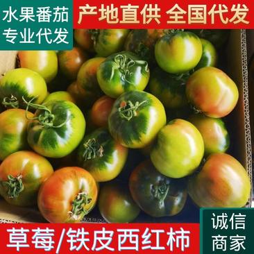 东北草莓西红柿/碱地柿子/铁皮柿子/口感番茄大量上市