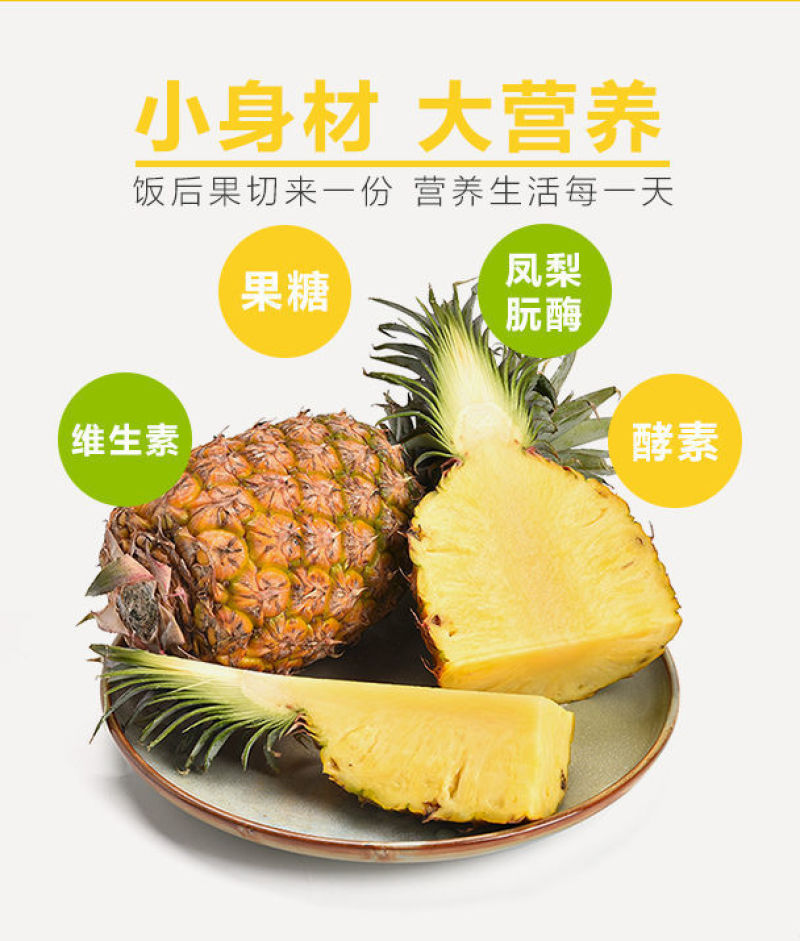 海南金钻凤梨5斤新鲜当季水果手撕凤梨菠萝一件代发