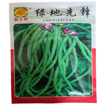 绿地先锋无支架豆角种子早熟高产无架豇豆种抗热100克