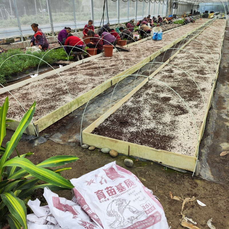 【品质保证】育苗基质厂家，产地直发货源充足欢迎咨询