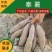 陕西秦薯四号5号板栗红薯粉糯香甜干面无丝