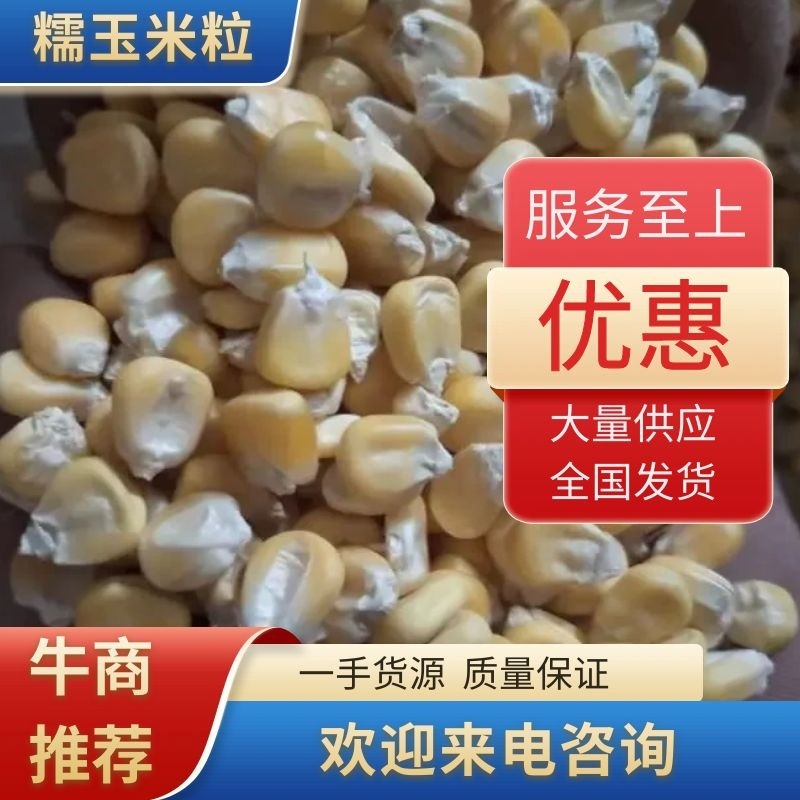 【大量批发】糯玉米粒，产地货源，价格优惠，来电咨询有优惠