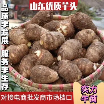 包成活提供技术指导货发全国价格优惠