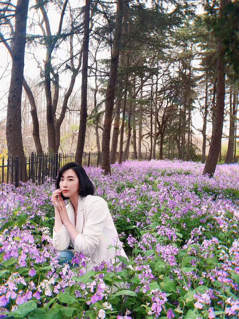 二月兰种子花种子花种籽子多年生诸葛菜种籽耐阴耐寒绿化易活