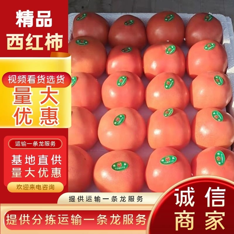硬粉西红柿，货源充足，产地直供，保质保量保服务，品质保障