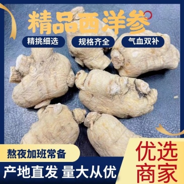 【特价】**漂亮的西洋参粒头本色足干量大价优