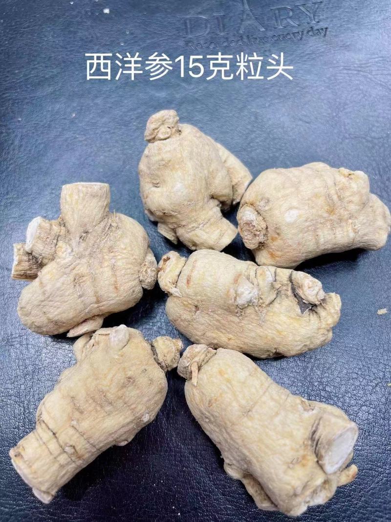 【特价】**漂亮的西洋参粒头本色足干量大价优