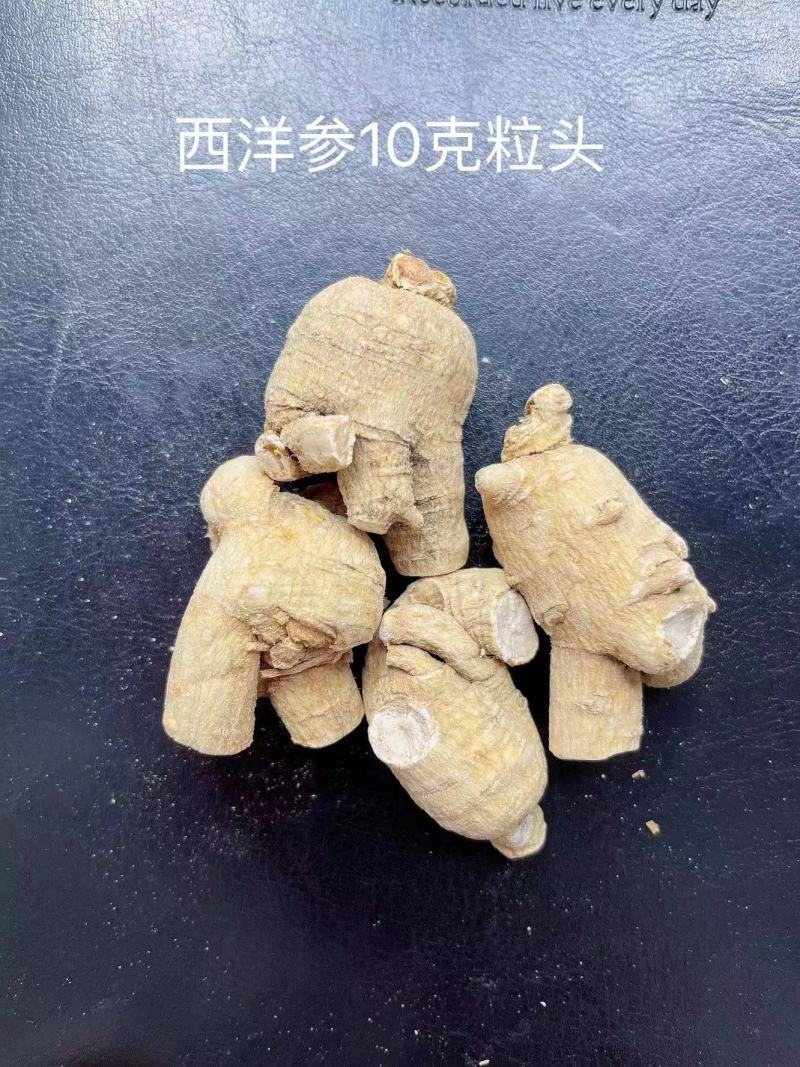 【特价】**漂亮的西洋参粒头本色足干量大价优