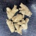 【特价】**漂亮的西洋参粒头本色足干量大价优