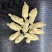 【特价】**漂亮的西洋参粒头本色足干量大价优