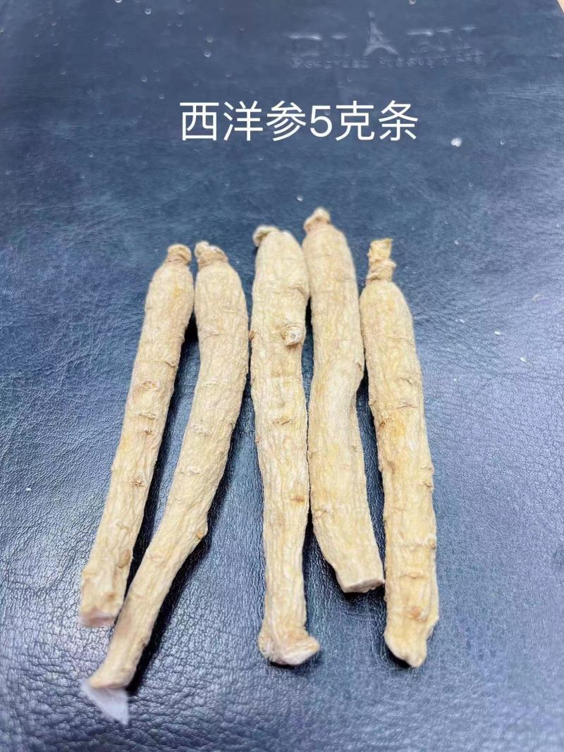 热卖西洋参条各规格条子自己厂生产量大价优货源稳定