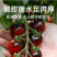 黑色小番茄苗甜度高，好吃产量高