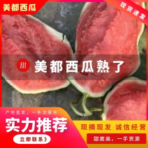 精品美都西瓜，产地直发，货源充足，瓜形端正，全国