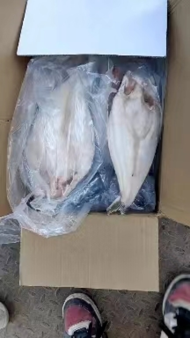 【牛商优选】开背巴沙鱼进口原条鱼一手货源对接餐厅欢迎选购
