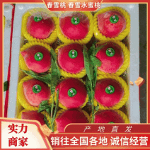 【优选】春雪水蜜桃毛桃果园直供口感好货源充足价格优惠