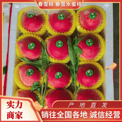 【优选】春雪水蜜桃毛桃果园直供口感好货源充足价格优惠