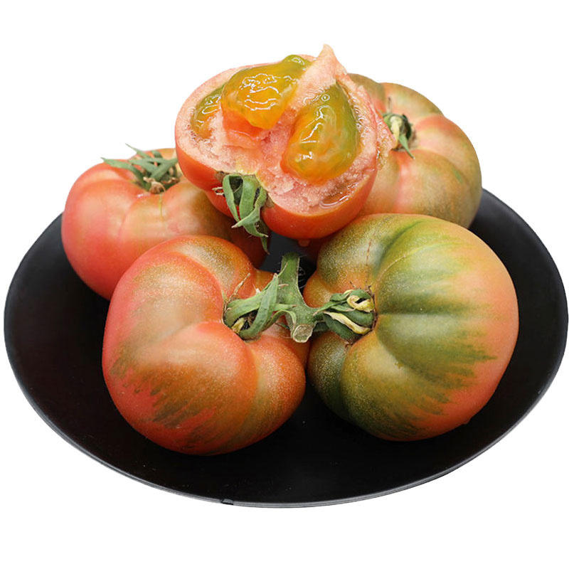 国泰草莓番茄种子高抗TY病毒铁皮柿子种子高产粉西红柿种子