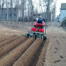 供应地瓜土豆覆盖机安徽西瓜种植起垄地膜机可打药施肥
