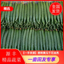 河南商丘夏邑密刺黄瓜大量上市，支持各种包装，欢迎大家前来
